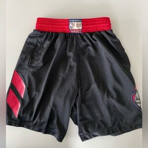 Mitchell & ness Toronto Raptors basketball shorts